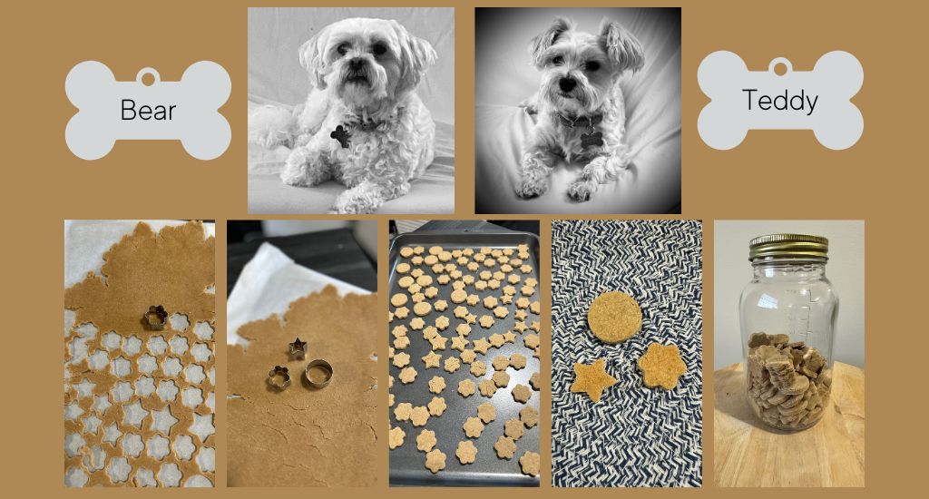 Homemade Dog Treats for Senior&nbsp;Dogs